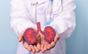 Urologia